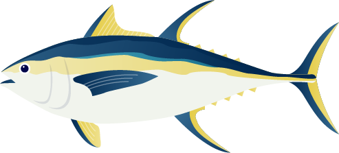Fish tier