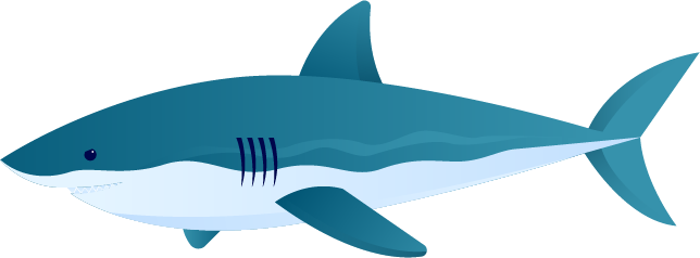 Shark tier